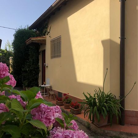 Casina Di Nina Apartment Livorno Bagian luar foto